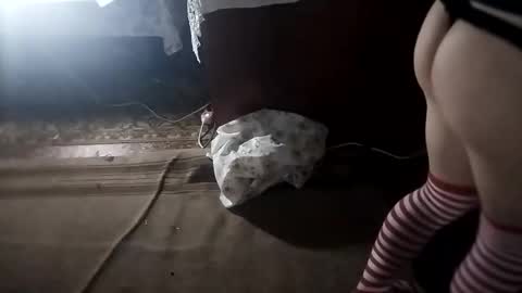 Cocolino  online show from 3, 11, 2025