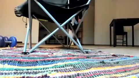 Snapshot of cocknholestar chatting on 3, 1, 2025 Gorgeous online show from 3, 1, 2025