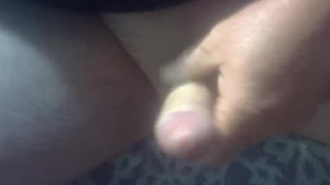 cocktoys online show from 11, 11, 2025