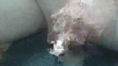 cocktoys online show from 2, 2, 2026