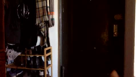 cloudy college boi exhib online show from 10, 3, 2025