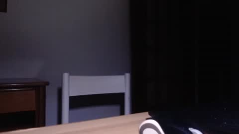 comemivuoi2 online show from 15, 3, 2026