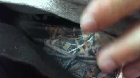 comox online show from 6, 3, 2025