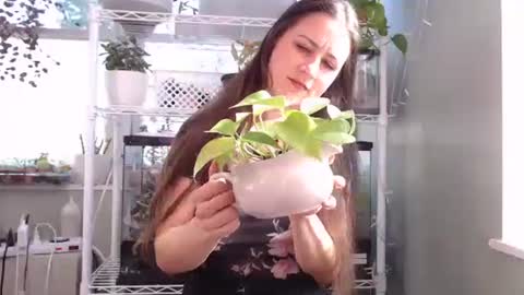 Snapshot of constantcumquest chatting on 4, 10, 2025 ANR Mommy online show from 4, 10, 2025