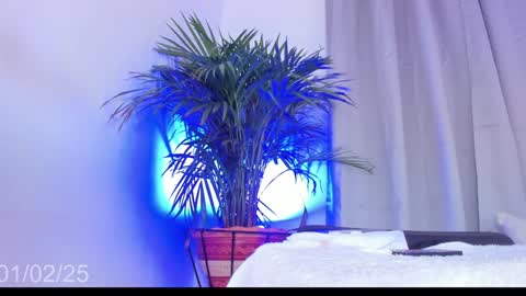 Coral princex online show from 2, 2, 2025