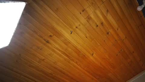 Snapshot of coraline_latin chatting on 14, 4, 2026 Coraline online show from 14, 4, 2026