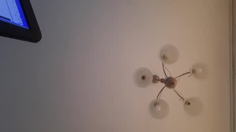 Corvus online show from 30, 12, 2024