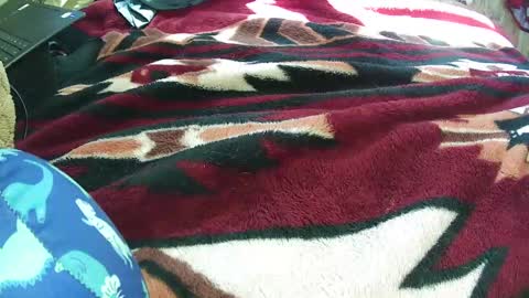 countryguy751601 online show from 21, 3, 2026