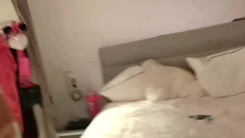 Sandra and Tom online show from 13, 2, 2025