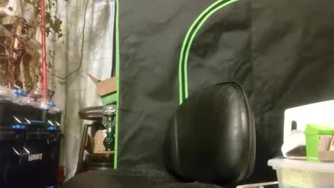 Snapshot of crackback_kyd chatting on 14, 2, 2026 crackback_kyd online show from 14, 2, 2026