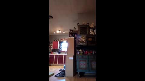 Snapshot of craig232301327629 chatting on 9, 1, 2026 craig232301327629 online show from 9, 1, 2026