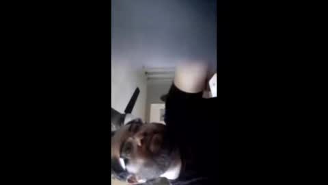 crazychubbyguy69 online show from 12, 2, 2026