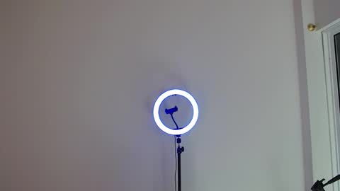 Bull online show from 3, 12, 2025