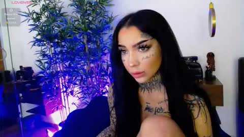 Sophie online show from 4, 12, 2025