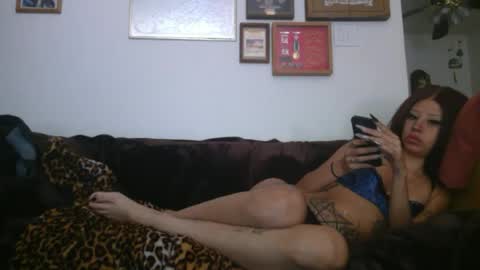 Snapshot of creature_nymph chatting on 25, 6, 2026 bunni xoxo online show from 25, 6, 2026