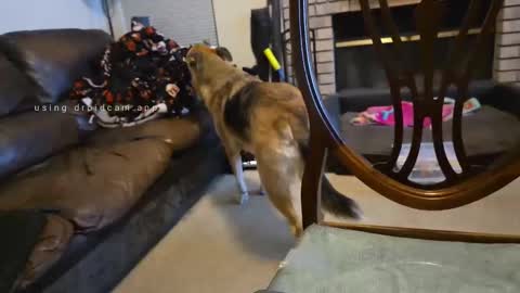 Snapshot of creeeping_death chatting on 27, 9, 2025 The hopeless romantic online show from 27, 9, 2025