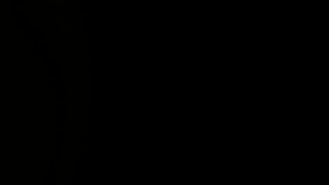 Criistaal   online show from 21, 12, 2024