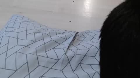 cristynaa36 online show from 5, 11, 2025