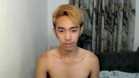 crocodale online show from 21, 11, 2025