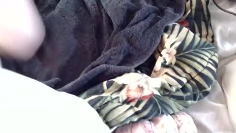 Snapshot of crucifux69 chatting on 30, 1, 2025 Crucifux online show from 30, 1, 2025