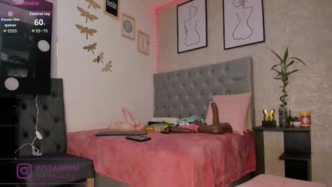   online show from 17, 12, 2025