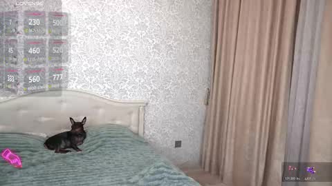 Nika online show from 23, 11, 2025