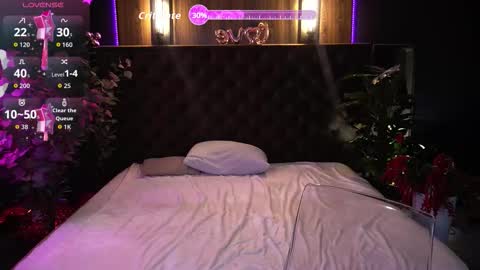 crystallpaws_ online show from 25, 2, 2026