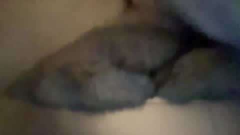Snapshot of cuckgriff23 chatting on 28, 4, 2026 cuckgriff23 online show from 28, 4, 2026