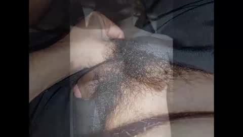 Noha online show from 13, 1, 2026