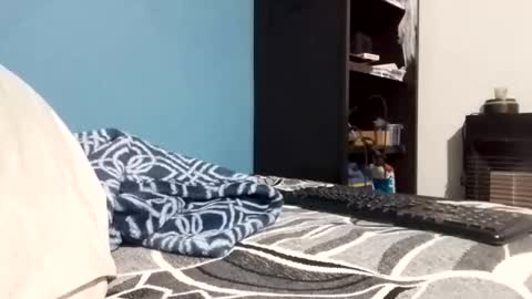 Snapshot of cumbian_chero chatting on 23, 2, 2026 cumbian_chero online show from 23, 2, 2026