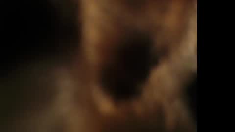 Giselle online show from 25, 10, 2025