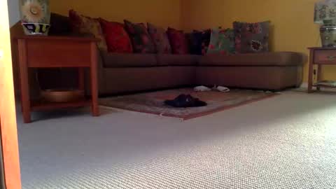 cumonherguys online show from 8, 11, 2025