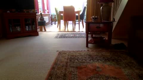 cumonherguys online show from 29, 6, 2026