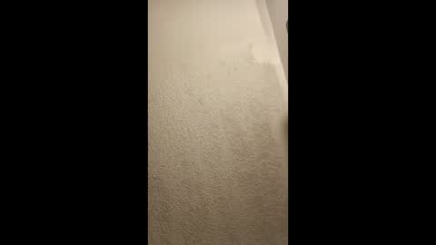 cumplay79 online show from 19, 1, 2026