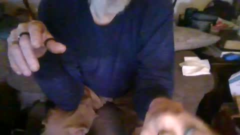 cunnibob online show from 2, 3, 2025