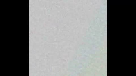 curlybutterfly online show from 29, 10, 2025