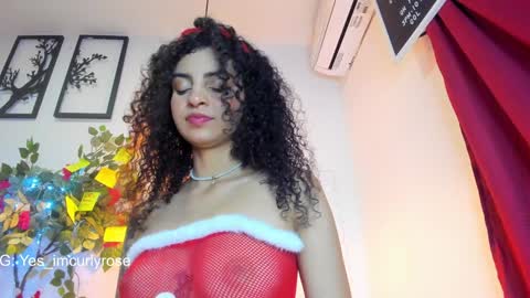 Snapshot of curlyrose_ chatting on 24, 12, 2024 Rose online show from 24, 12, 2024