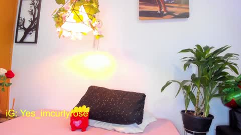 Snapshot of curlyrose_ chatting on 28, 1, 2025 Rose online show from 28, 1, 2025