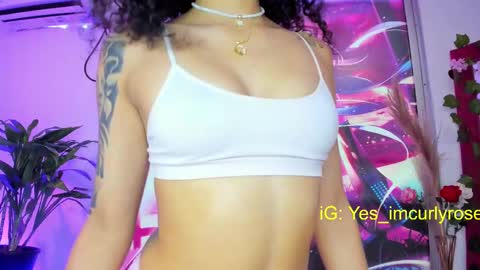 Snapshot of curlyrose_ chatting on 17, 2, 2025 Rose online show from 17, 2, 2025