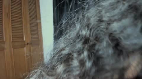 curvypornxxx online show from 24, 1, 2025