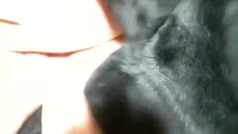 Snapshot of cutandwaxed2 chatting on 5, 3, 2025 BI SMOOTH MATURE SUB online show from 5, 3, 2025