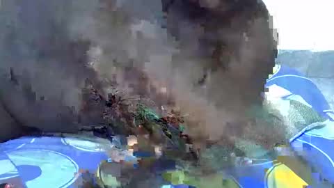 lynn online show from 21, 12, 2025