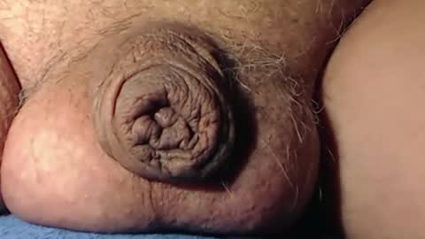 cute_stud2855 online show from 15, 1, 2026