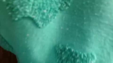 cutebuu online show from 21, 11, 2025