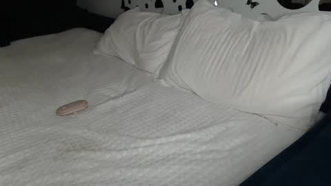 Snapshot of cuteemouse chatting on 27, 1, 2025 Anna online show from 27, 1, 2025