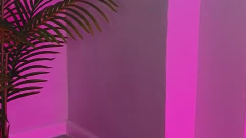 Amyy online show from 10, 7, 2026