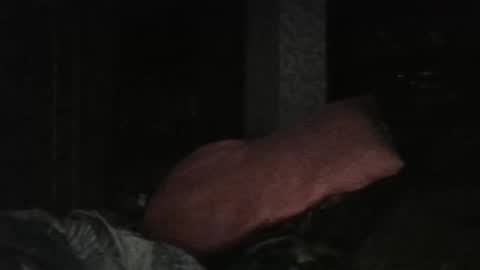 cutekattie online show from 25, 2, 2026