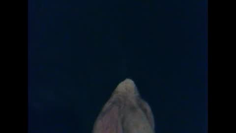 Snapshot of cutieguy86 chatting on 26, 10, 2025 CutieBoy online show from 26, 10, 2025