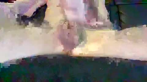 Snapshot of cwaddle chatting on 16, 2, 2025 cwaddle online show from 16, 2, 2025