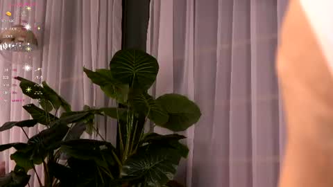Snapshot of cynthiawest chatting on 3, 7, 2026 Ivy online show from 3, 7, 2026